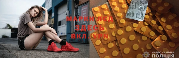 индика Лабытнанги