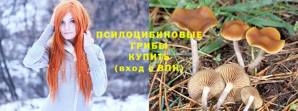 прущая мука Каменногорск